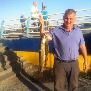 Рыбалка